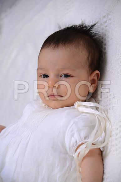 41SilverImage