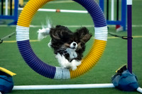08-SilverImagePhotos