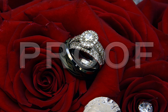 0001SilverImagePhotos