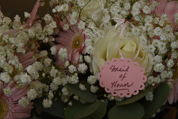 0022SilverImagePhotos