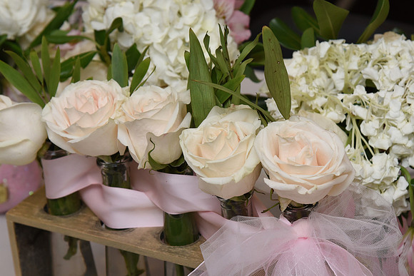 0035SilverImagePhotos