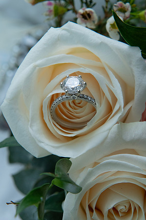 0038-SilverImagePhotos