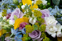 0111-SilverImagePhotos