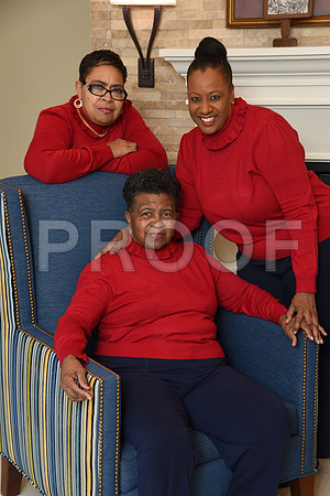 12SilverImage2