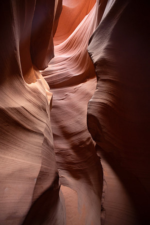 AAA_3055
