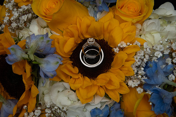 0037-SilverImagePhotos
