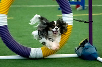 19-SilverImagePhotos