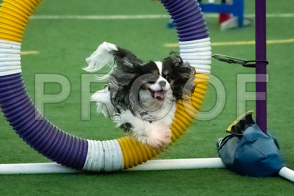 19-SilverImagePhotos