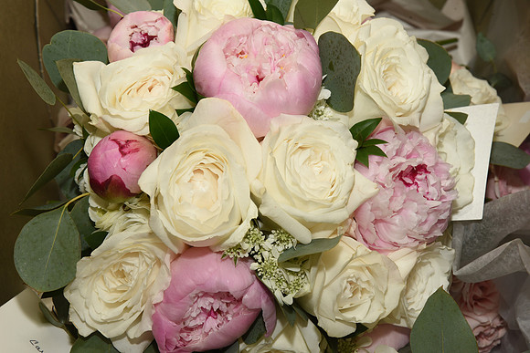 0017SilverImagePhotos