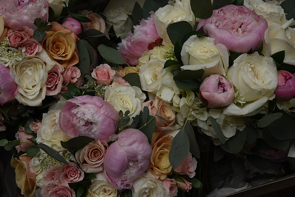0021SilverImagePhotos