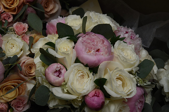 0022SilverImagePhotos