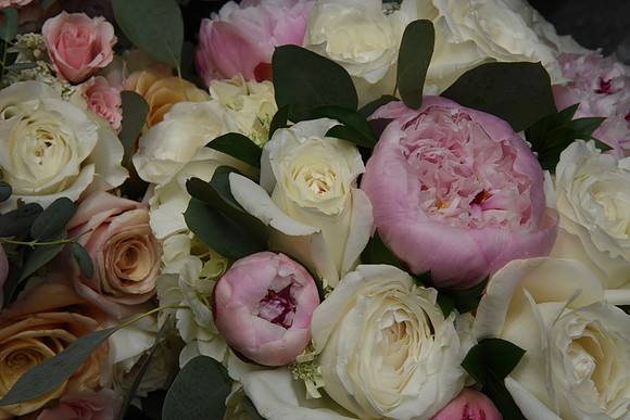 0023SilverImagePhotos