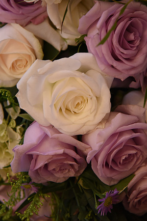 0186SilverImagePhotos