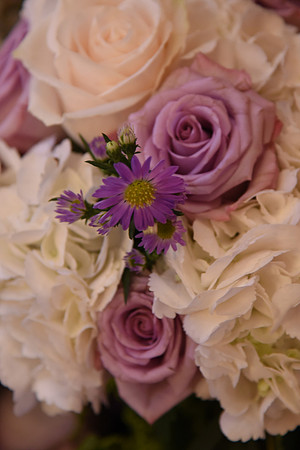 0185SilverImagePhotos