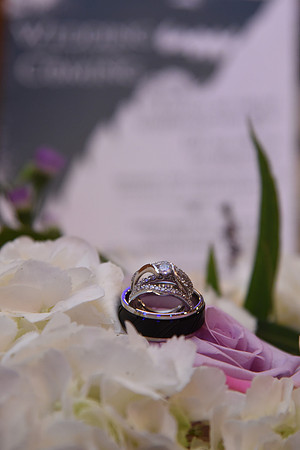 0184SilverImagePhotos