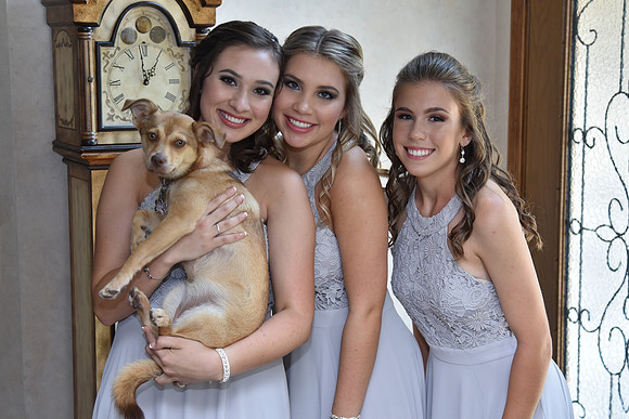 0018-SilverImagePhotos