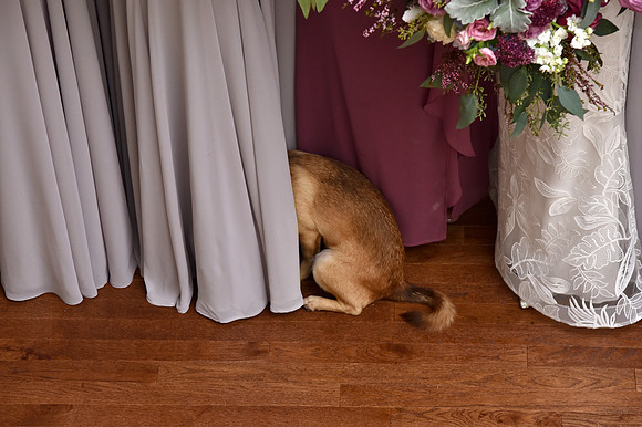 0112-SilverImagePhotos