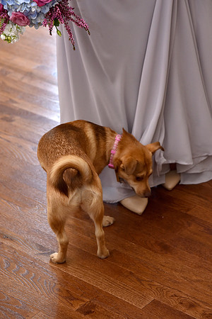 0115-SilverImagePhotos