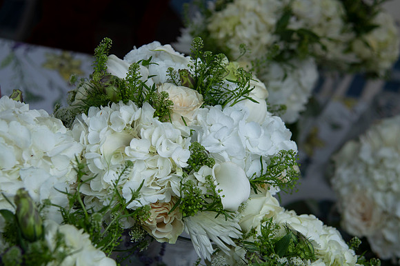 0098-SilverImagePhotos