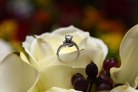 0001-SilverImagePhotos