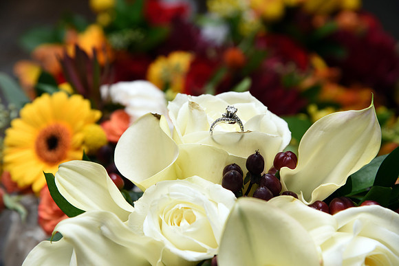0008-SilverImagePhotos