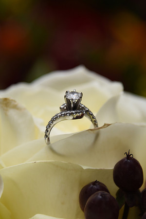 0025-SilverImagePhotos