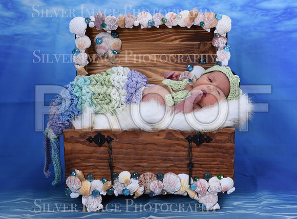 088-SilverImage