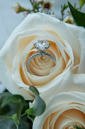 0040-SilverImagePhotos