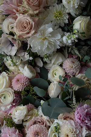 0024-SilverImagePhotos