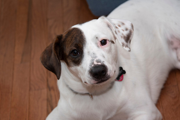 0041-SilverImagePhotos