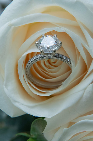 0039-SilverImagePhotos