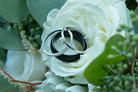 0153-SilverImagePhotos