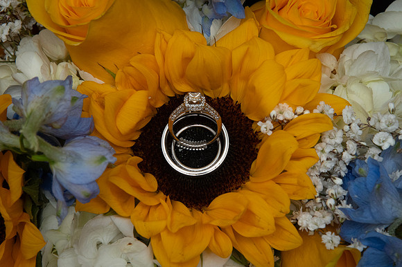 0036-SilverImagePhotos