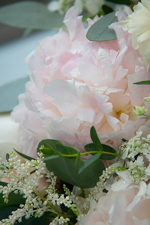 0036-SilverImagePhotos