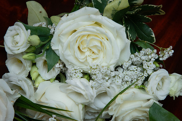 0068-SilverImagePhotos