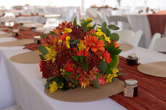0110-SilverImagePhotos