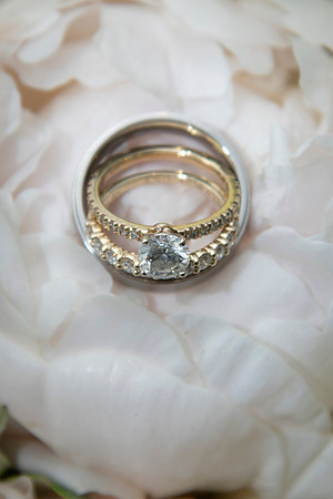 0029-SilverImagePhotos