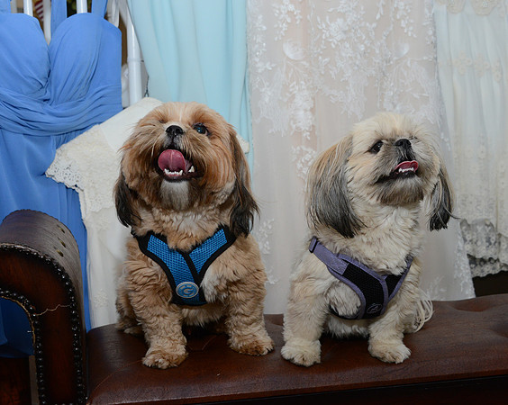 026SilverImagePhotos