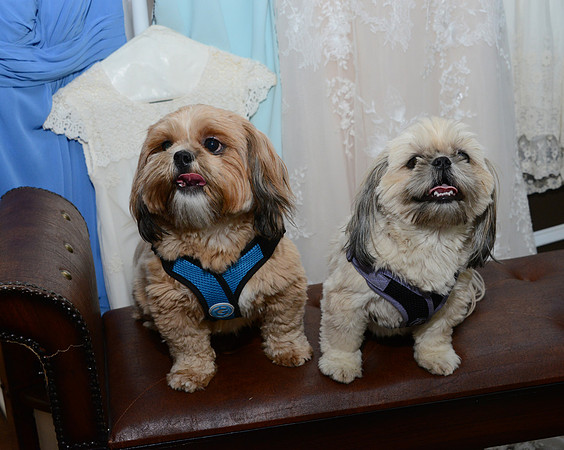 028SilverImagePhotos