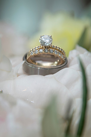 0002-SilverImagePhotos