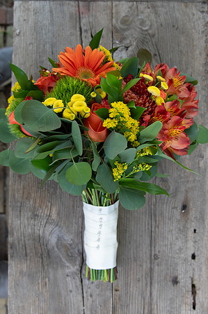 0105-SilverImagePhotos