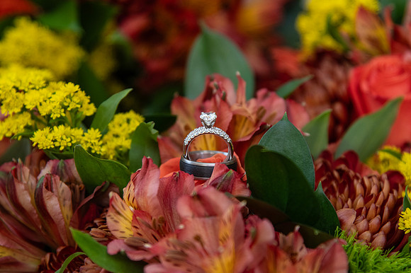 0102-SilverImagePhotos