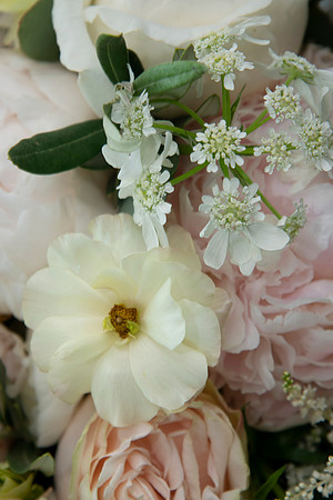 0035-SilverImagePhotos