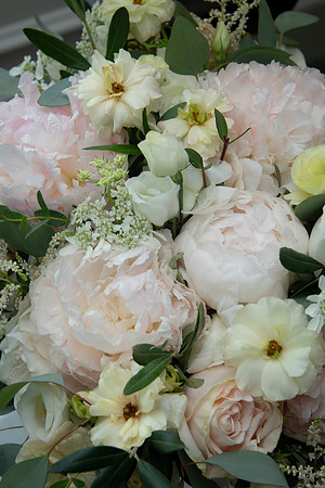 0032-SilverImagePhotos