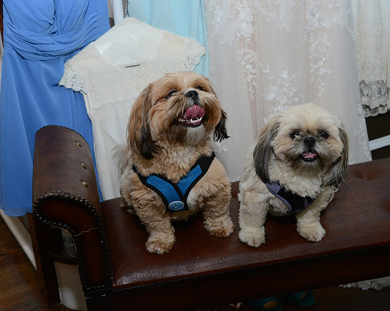 029SilverImagePhotos