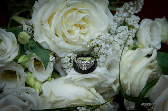 0062-SilverImagePhotos