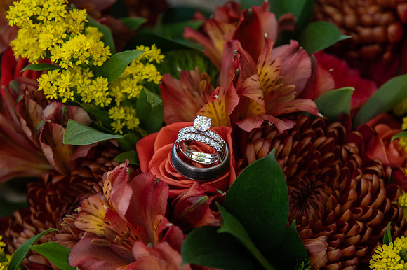 0101-SilverImagePhotos