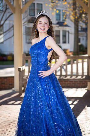 083SilverImage