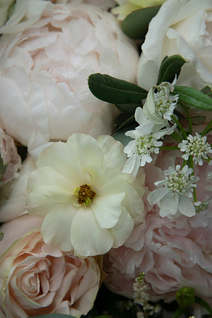 0034-SilverImagePhotos