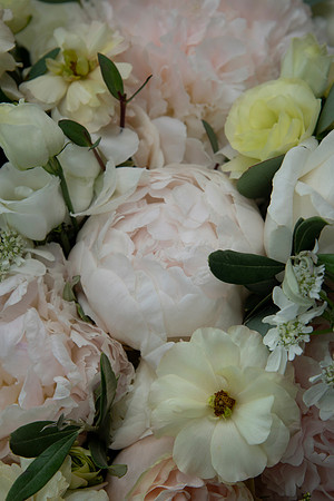 0033-SilverImagePhotos
